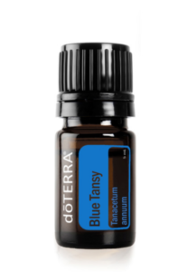 BlueTansy – Csipkés facélia illóolaj 5 ml - doTERRA