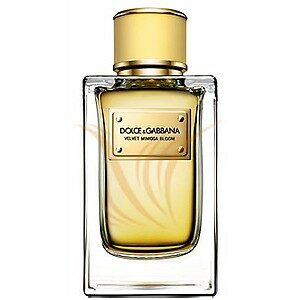 Dolce&Gabbana Velvet Mimosa Bloom EDP 150 ml női