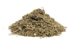 MUNYA (Minthostachys setosa) - gyógynövény