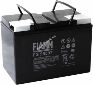 Ólom akku 12V 65Ah (FIAMM) típus FG26507 VDS-minõsítéssel (helyettesíti FG26505)