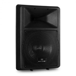 Auna Pro 2-utas Auna PW-EV-12A koncert hangfal