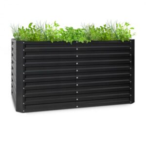 Blumfeldt High Grow Straight