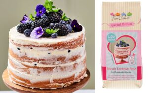Keverék csökkentett cukortartalmú laktózmentes piskóta korpuszhoz Mix for Sponge Cake 500 g - FunCakes FunCakes