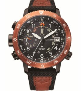Citizen Promaster