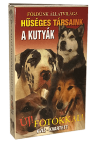 A Kutyák (Ismeretterjesztő Kártya)